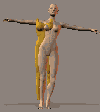 Все о Meta Creation Poser