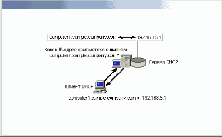     Windows XP

